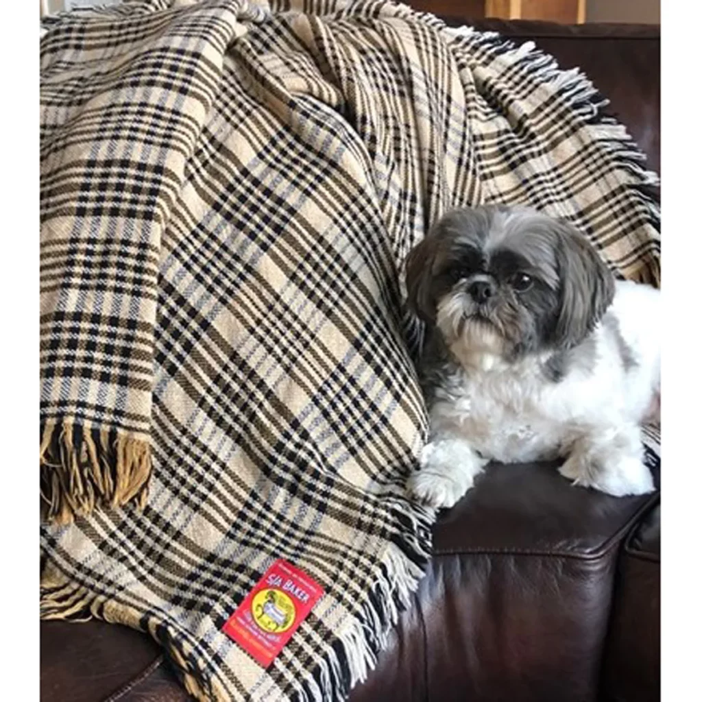 black and tan plaid afghan next to a small dog
