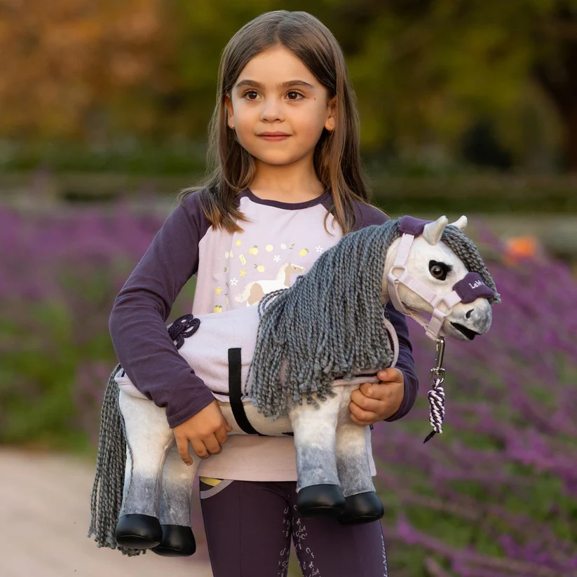 Lemieux toy pony