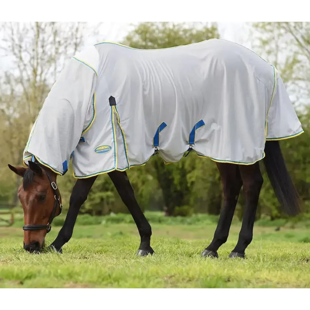 Horse wearing a WeatherBeeta mesh combo neck fly sheet for summer turnout fly protection